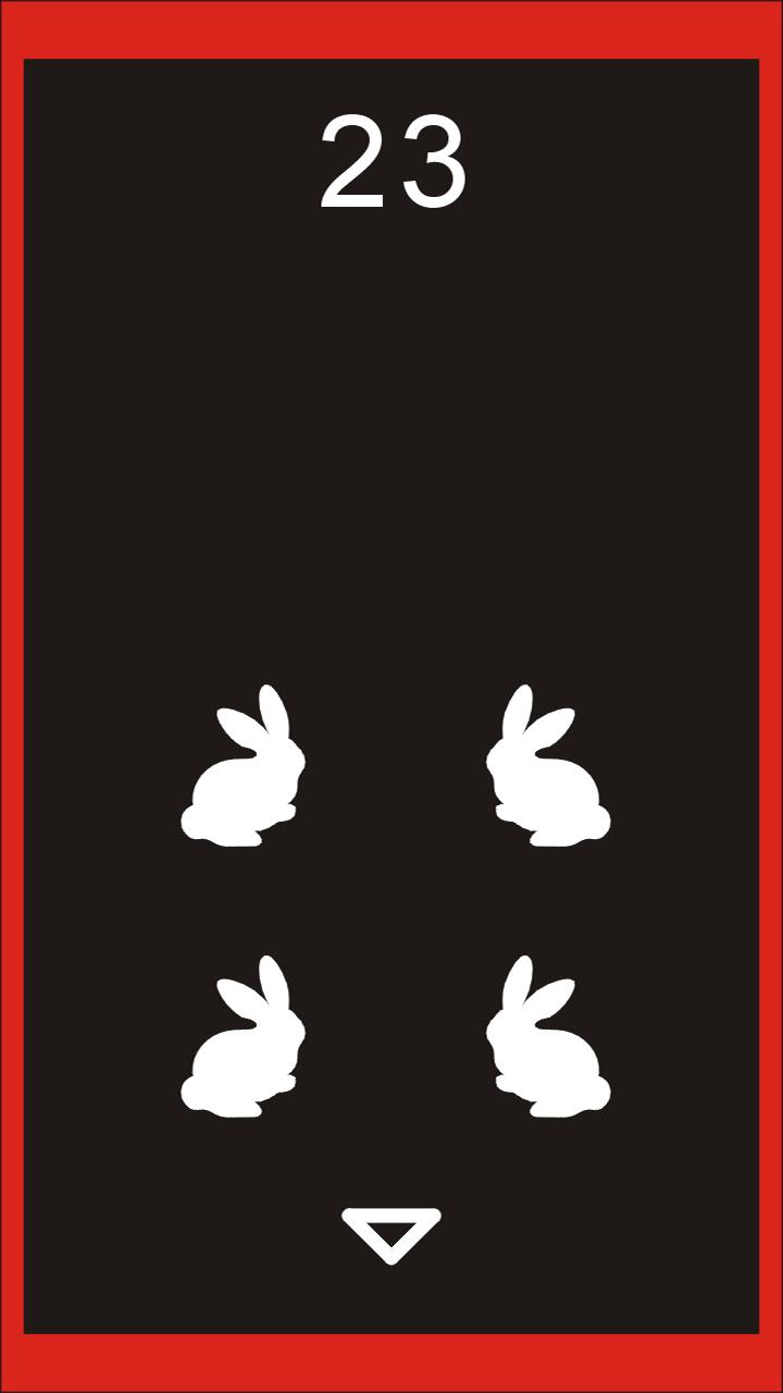 showabbit