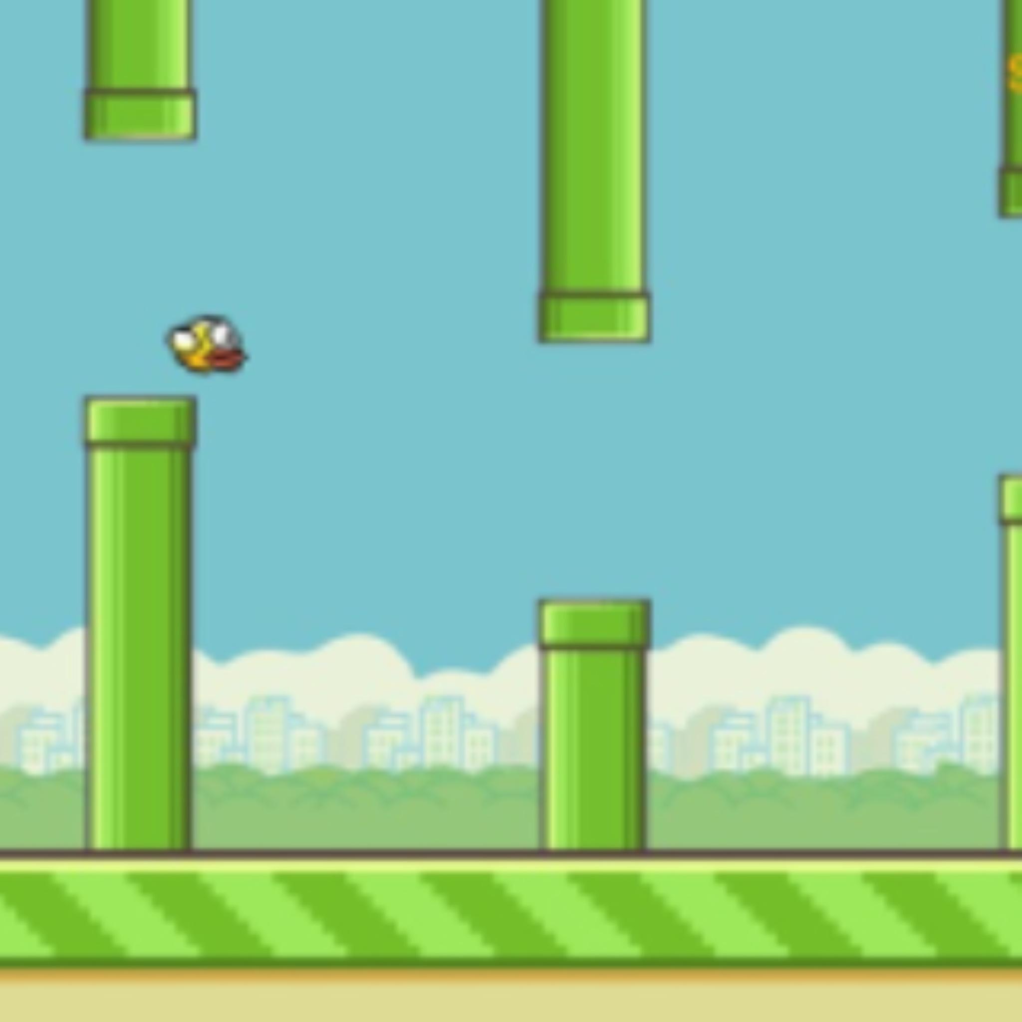 Flying Bird
