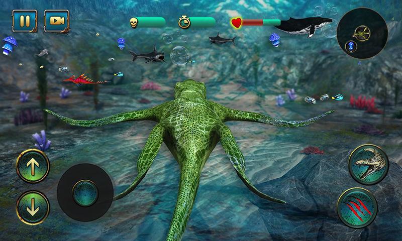 Ultimate Ocean Predator 2016