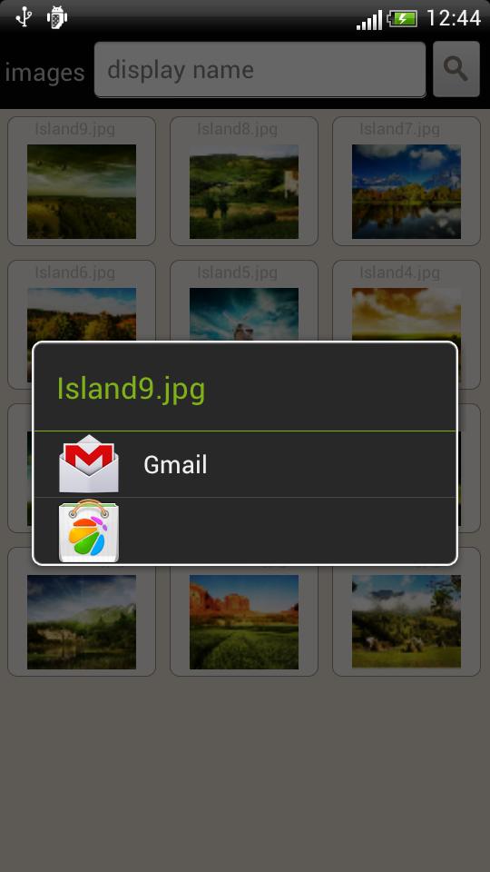 Picture Browser
