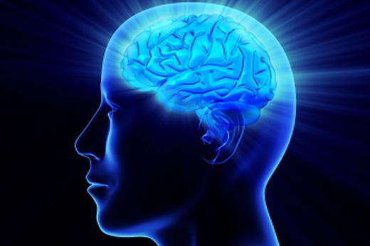 Human Brain Power !