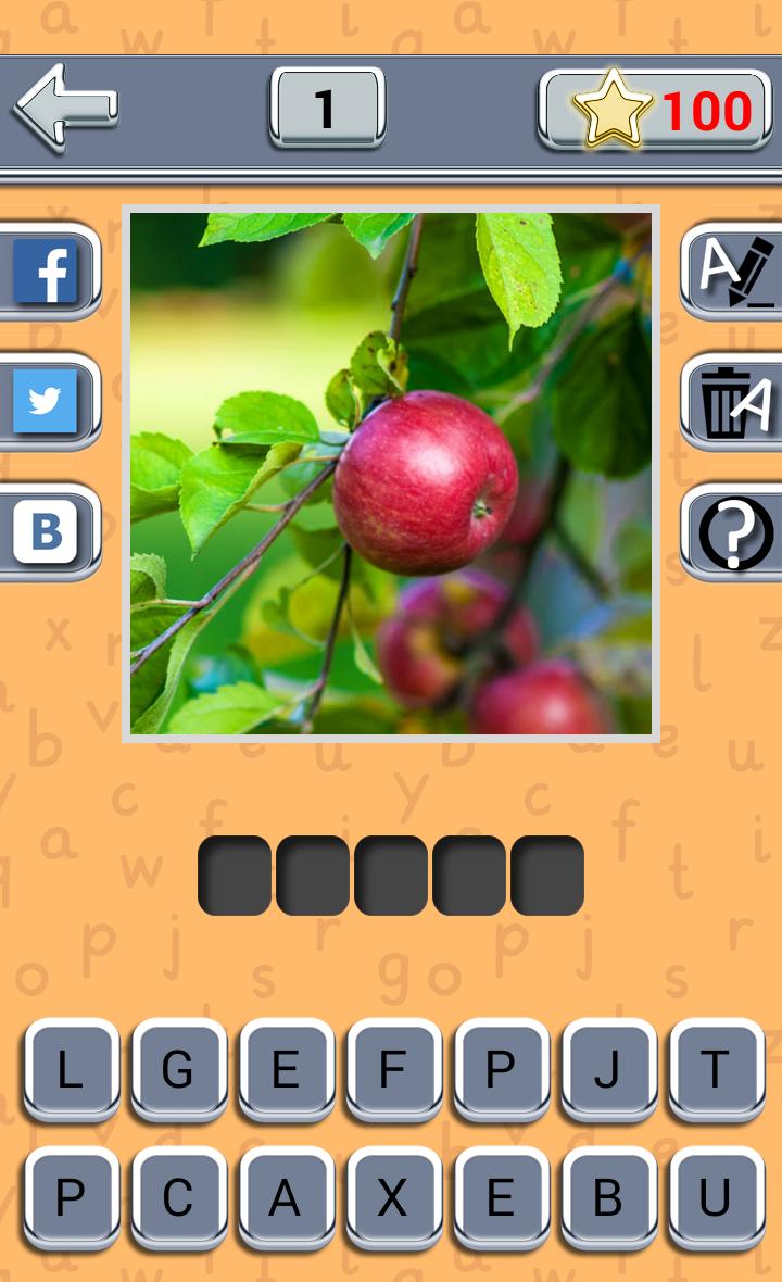 Guess Fruit Berry