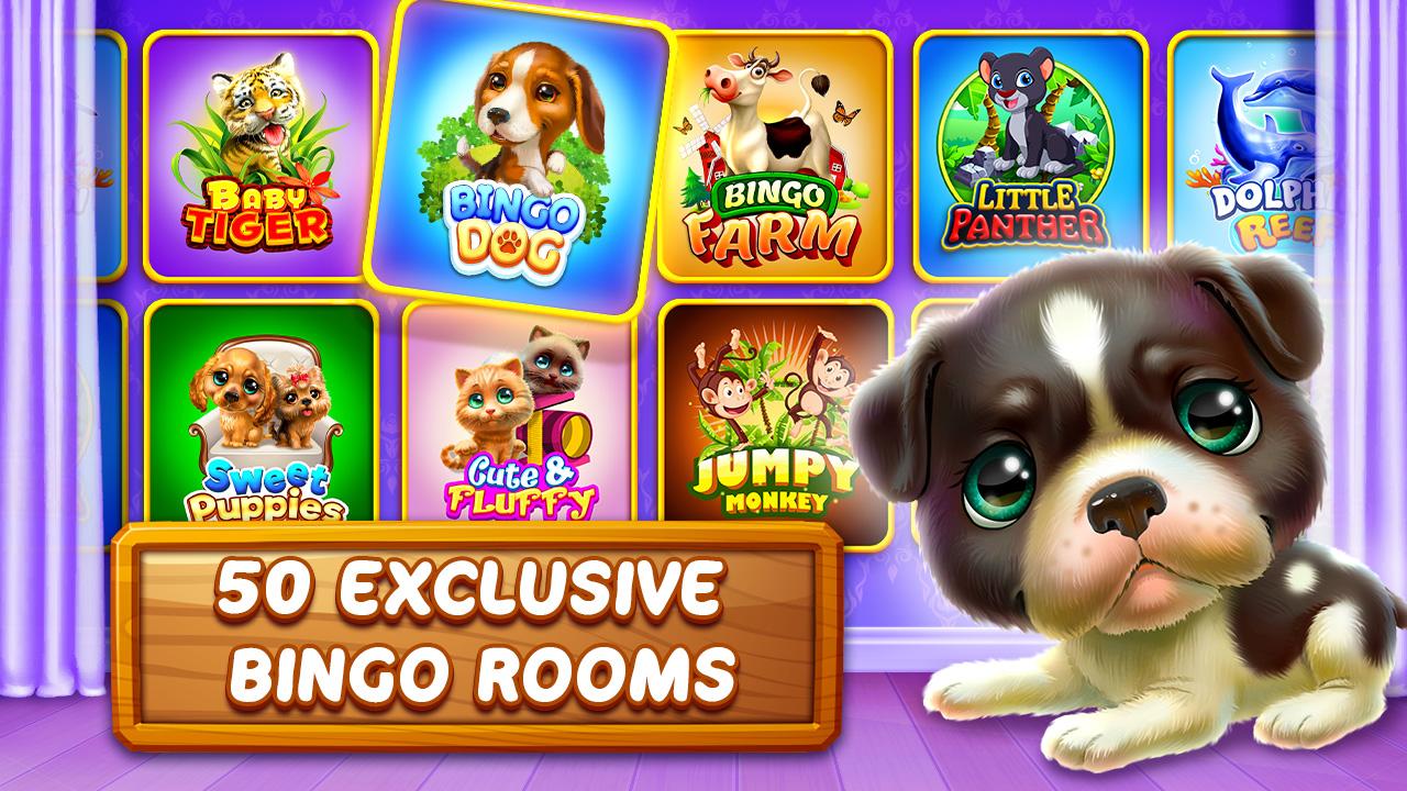 Bingo Dog