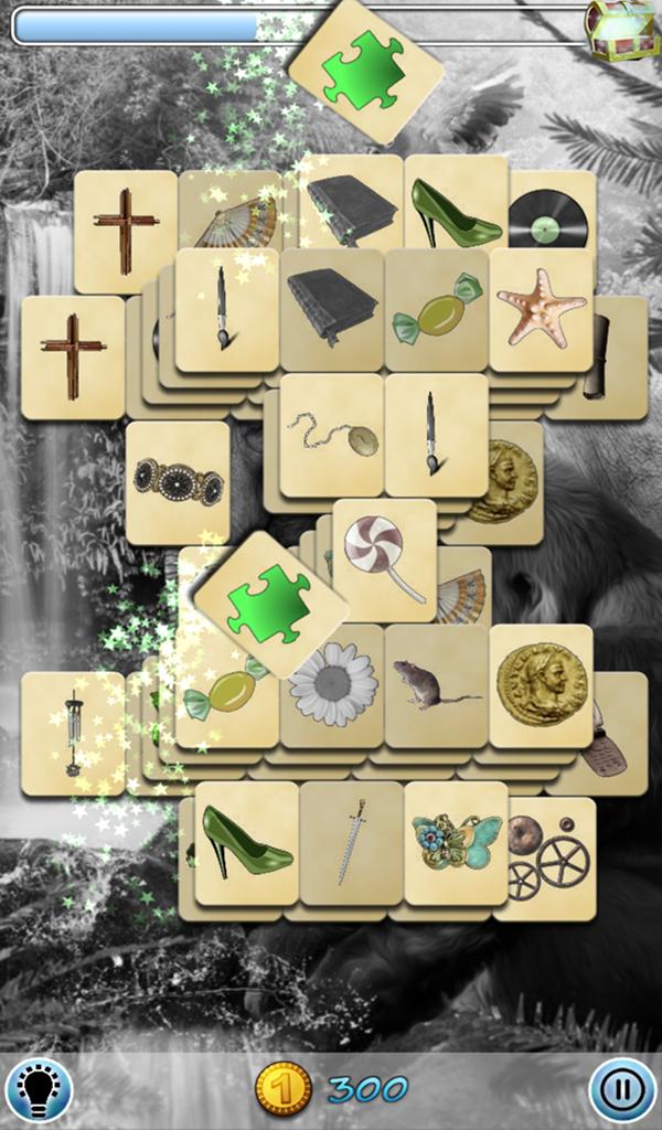 Hidden Mahjong: Into the Wild