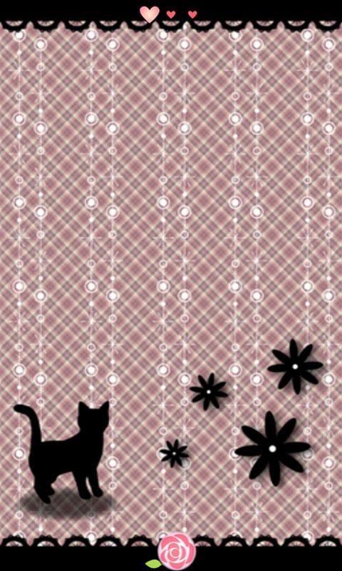 Cute Animals!