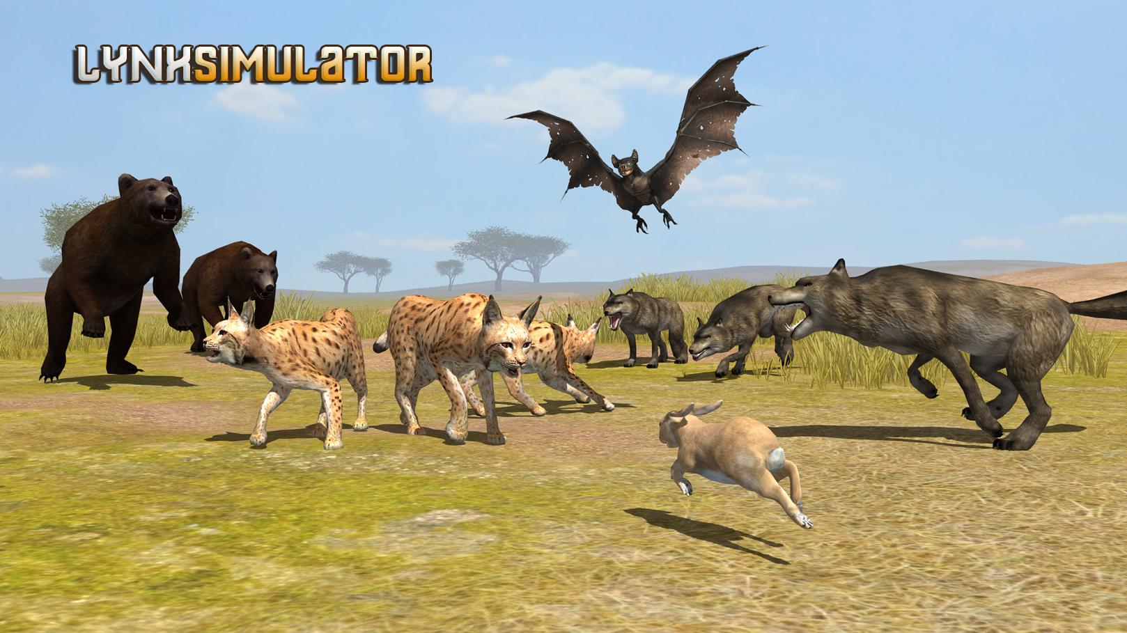 Lynx Simulator