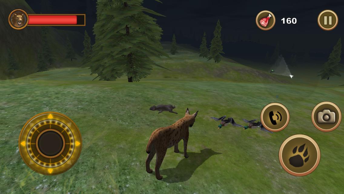 Lynx Simulator