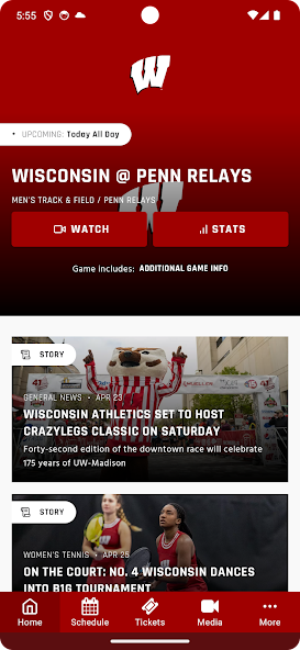 Wisconsin Badgers