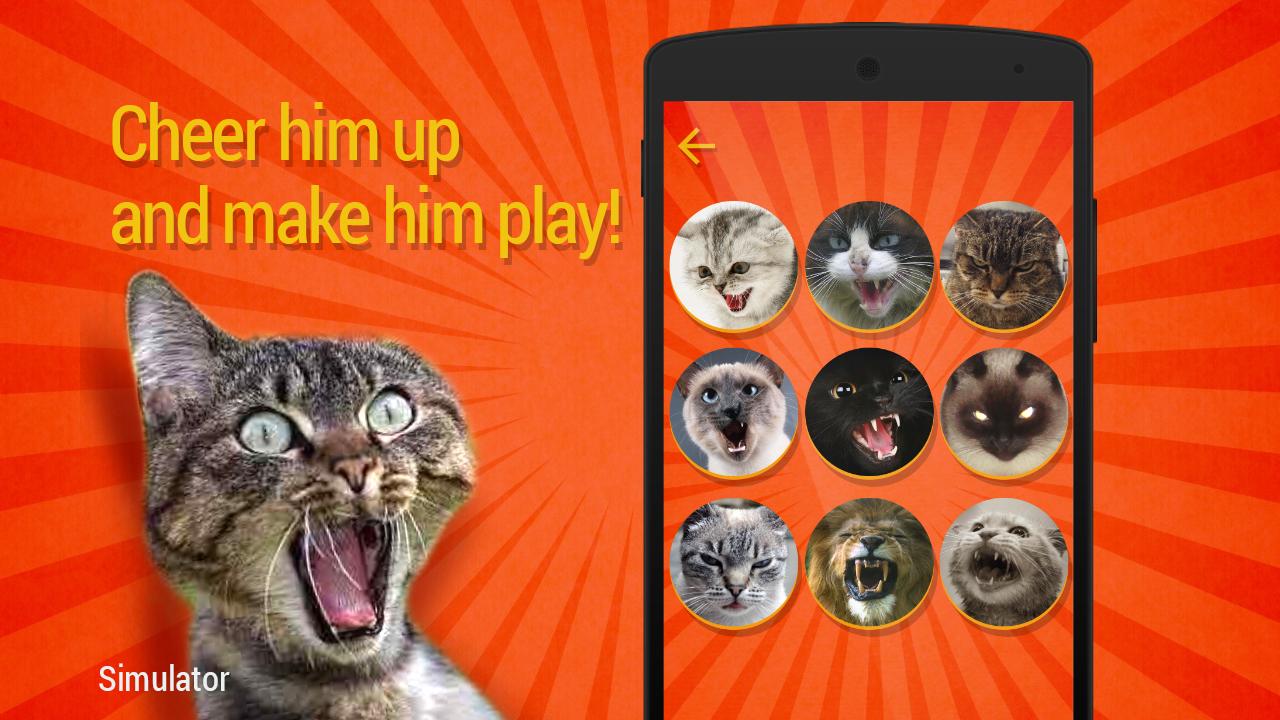Cat Teaser: Sounds
