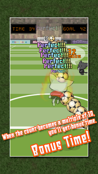 World Cat Cup