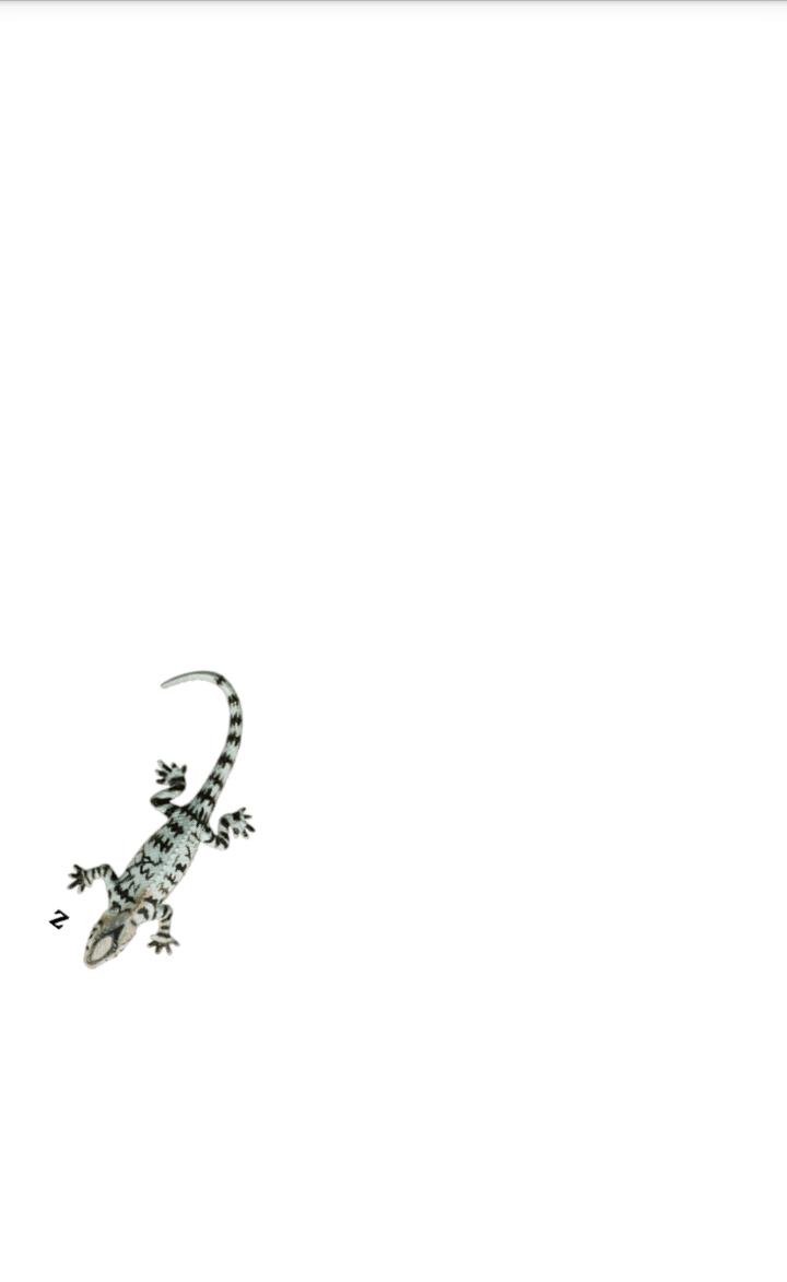Lizard simulator