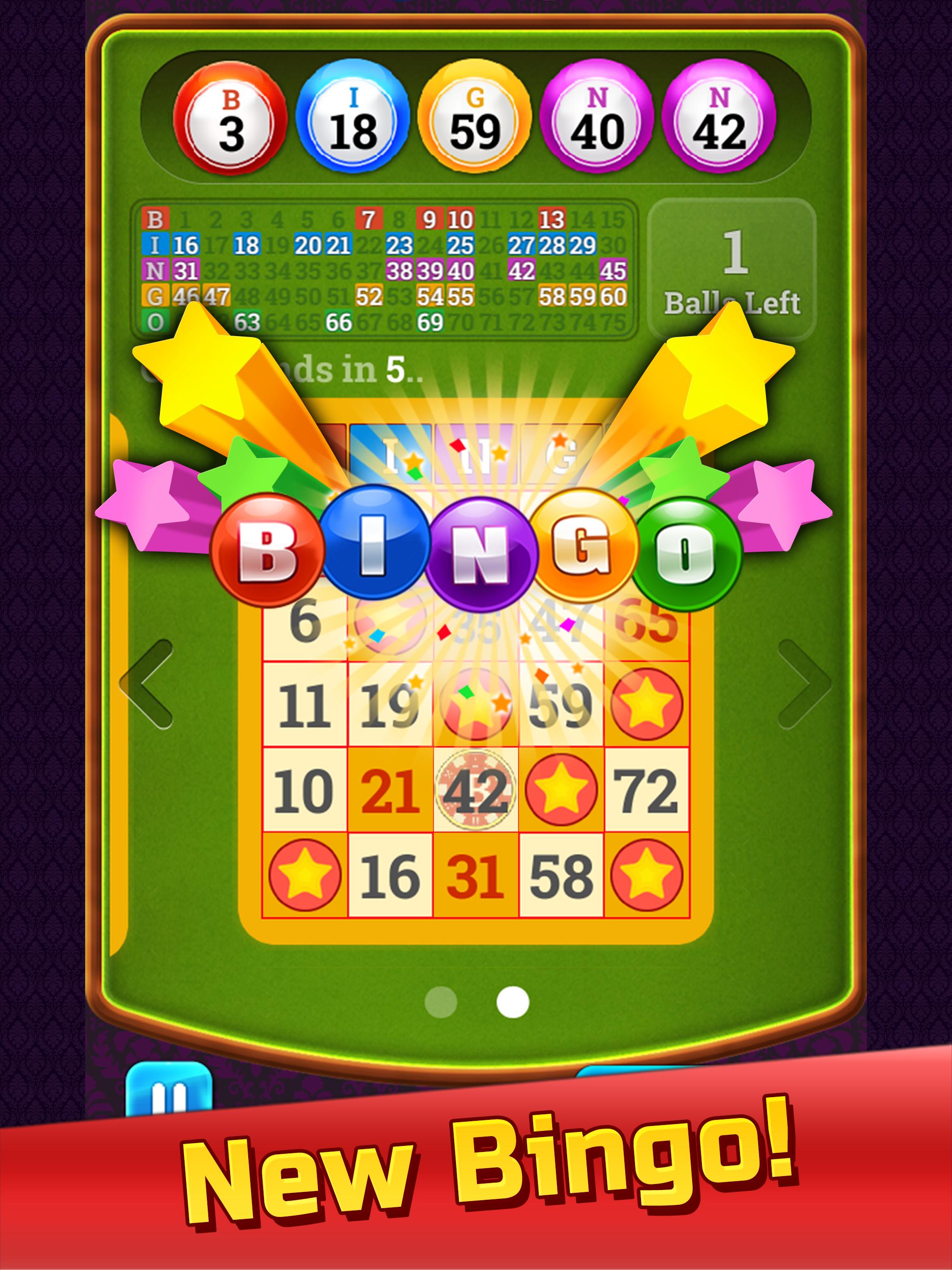 Bingo VIP