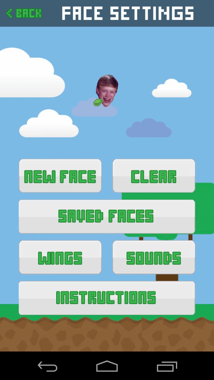 Fly Your Face
