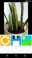 rotate pictures