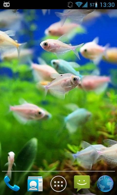 Magic Touch : Fish Pond