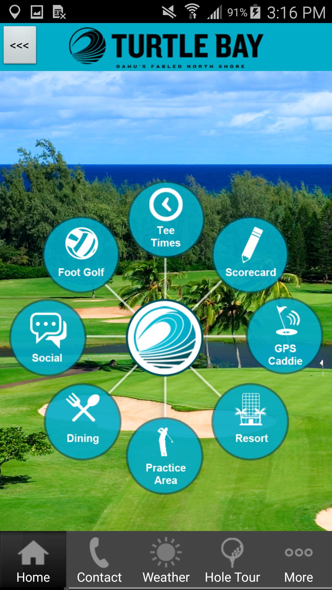 Turtle Bay Golf