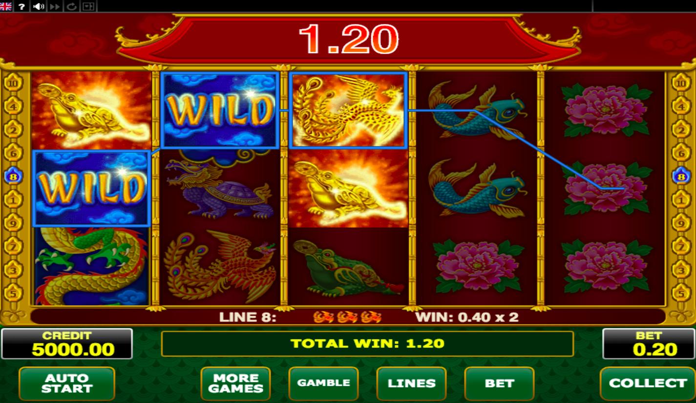 Wild Dragon