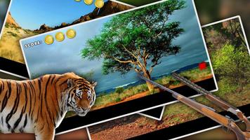 Hunter Safari