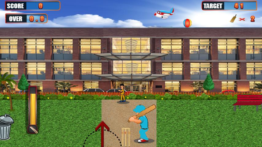 Street Cricket Pro