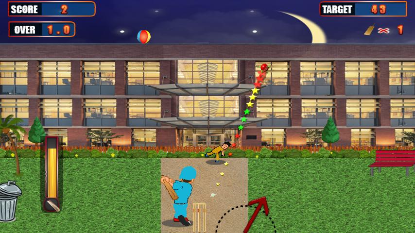 Street Cricket Pro