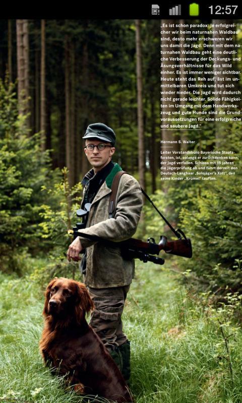 Wald Jagd
