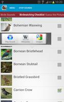 Asian Birds Sounds Free