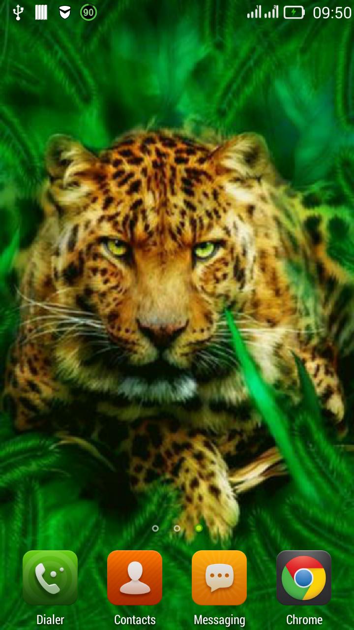 Hunting tiger