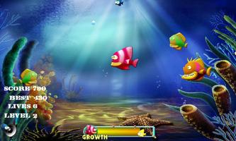 Feeding frenzy - Fish
