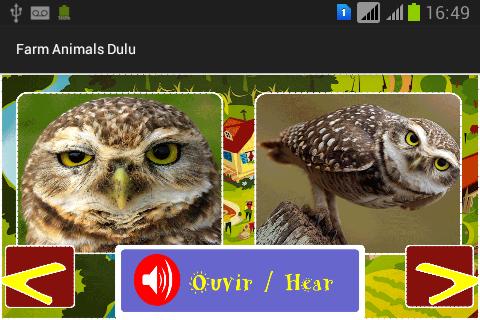 Farm Animals Dulu