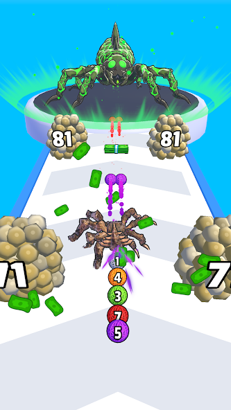 Spider Evolution 3D