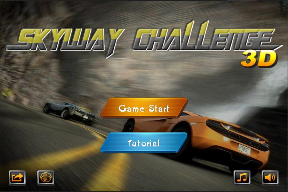 Skyway chanlenge 3D