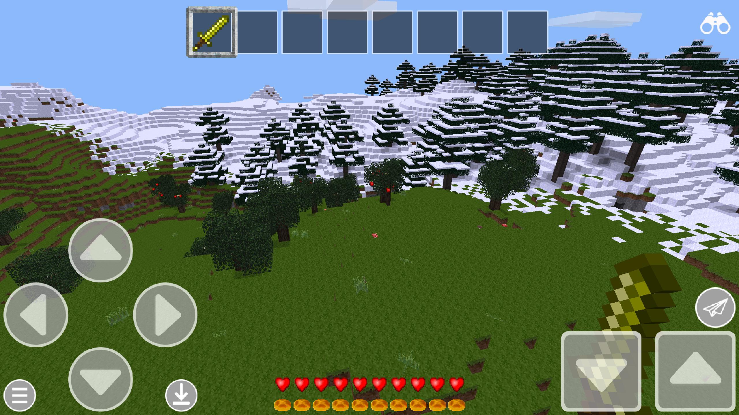 Crazy Craft : Survival Island