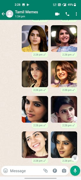 Samantha Stickers