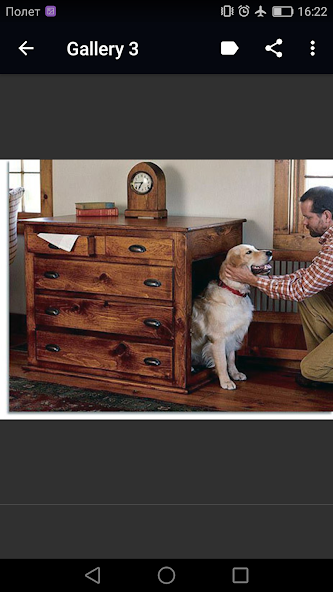 Indoor Dog House