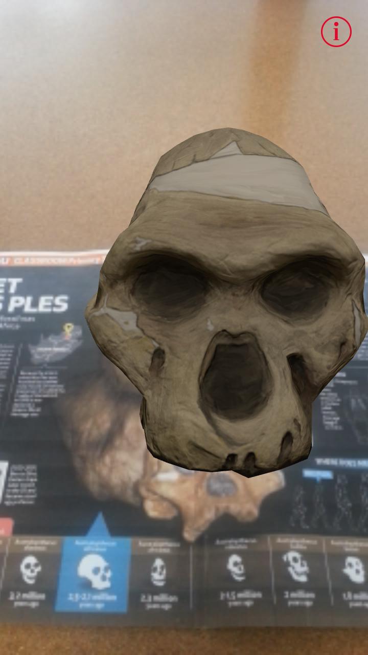YOU 3D