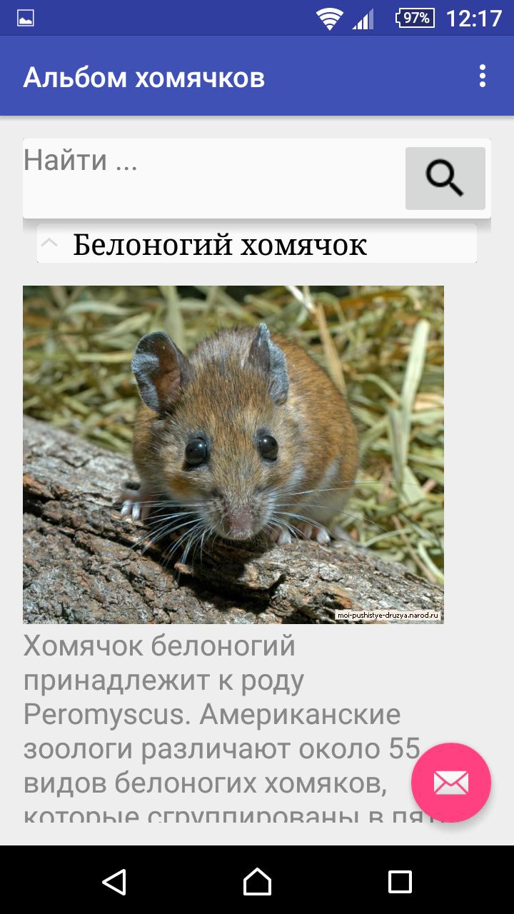 Hamsters