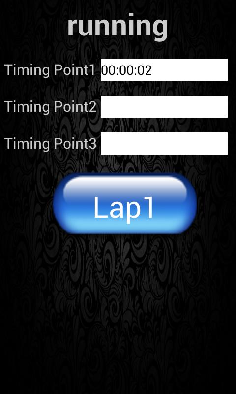 Lap Timmer