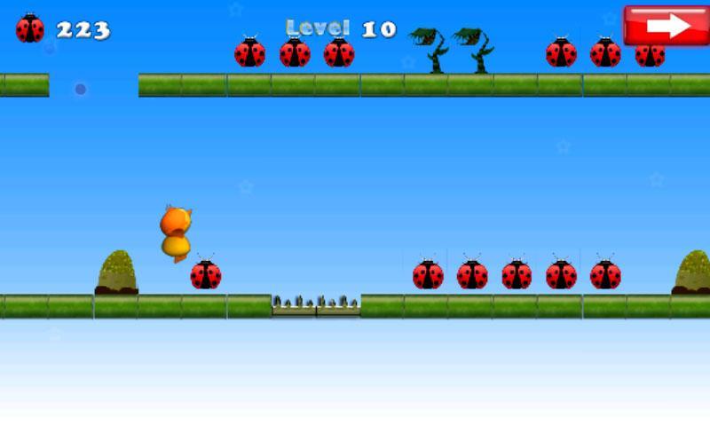 Farm Bird Run