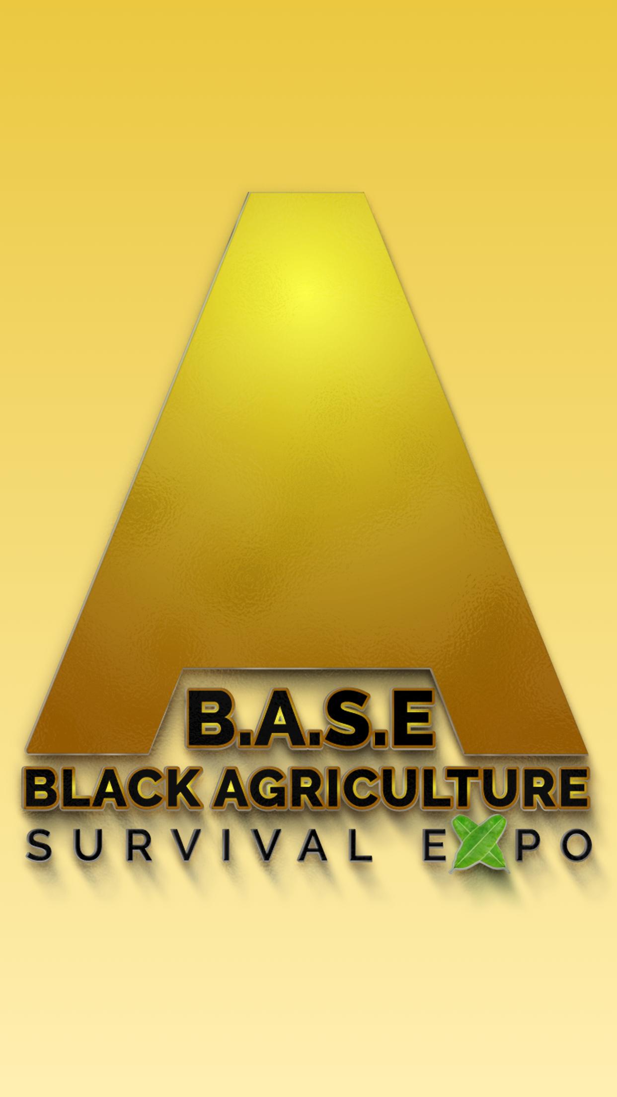 B.A.S.E