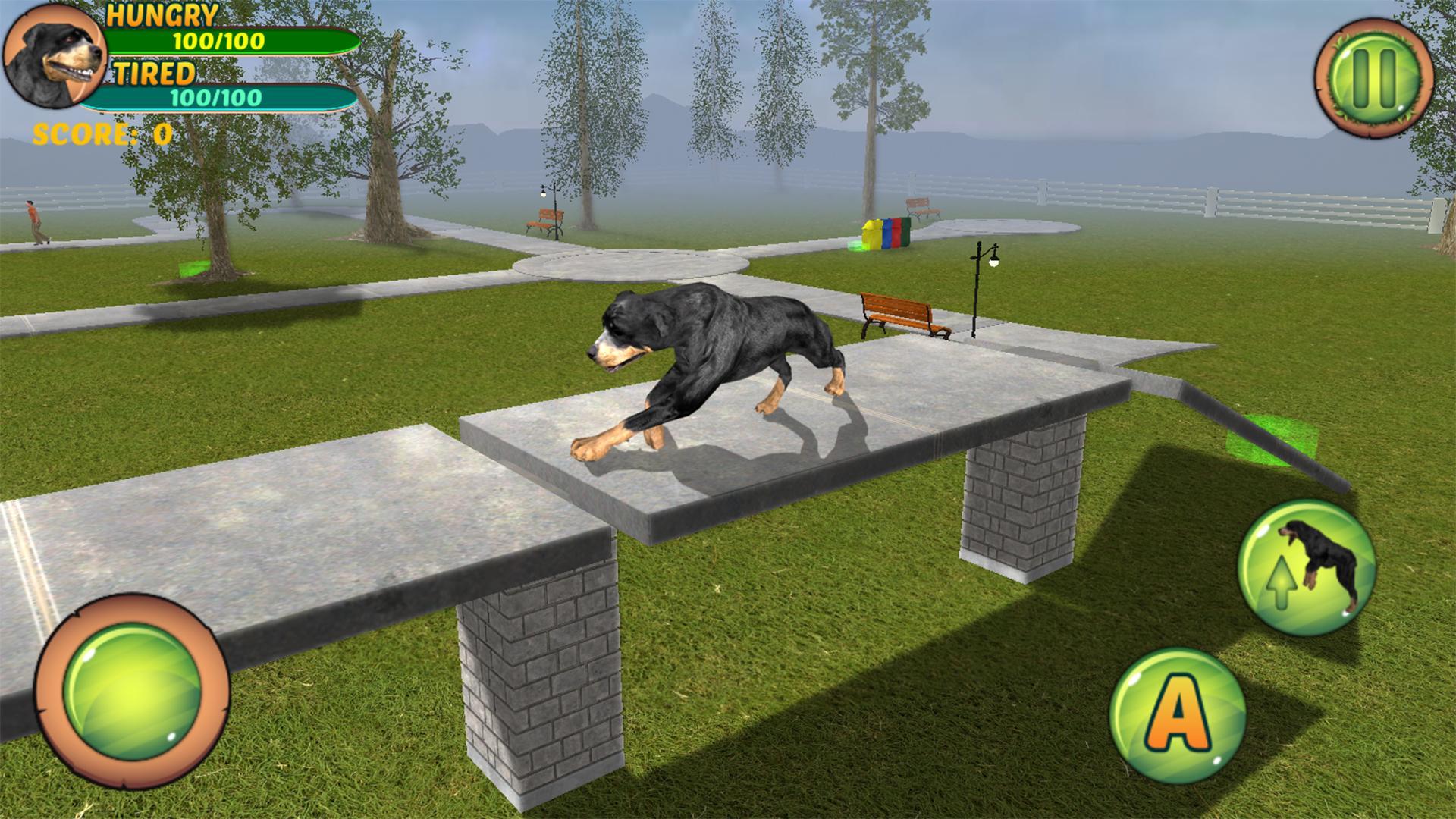 Rottweiler