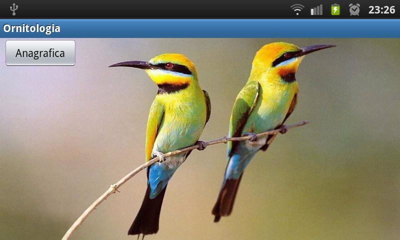 Ornithology