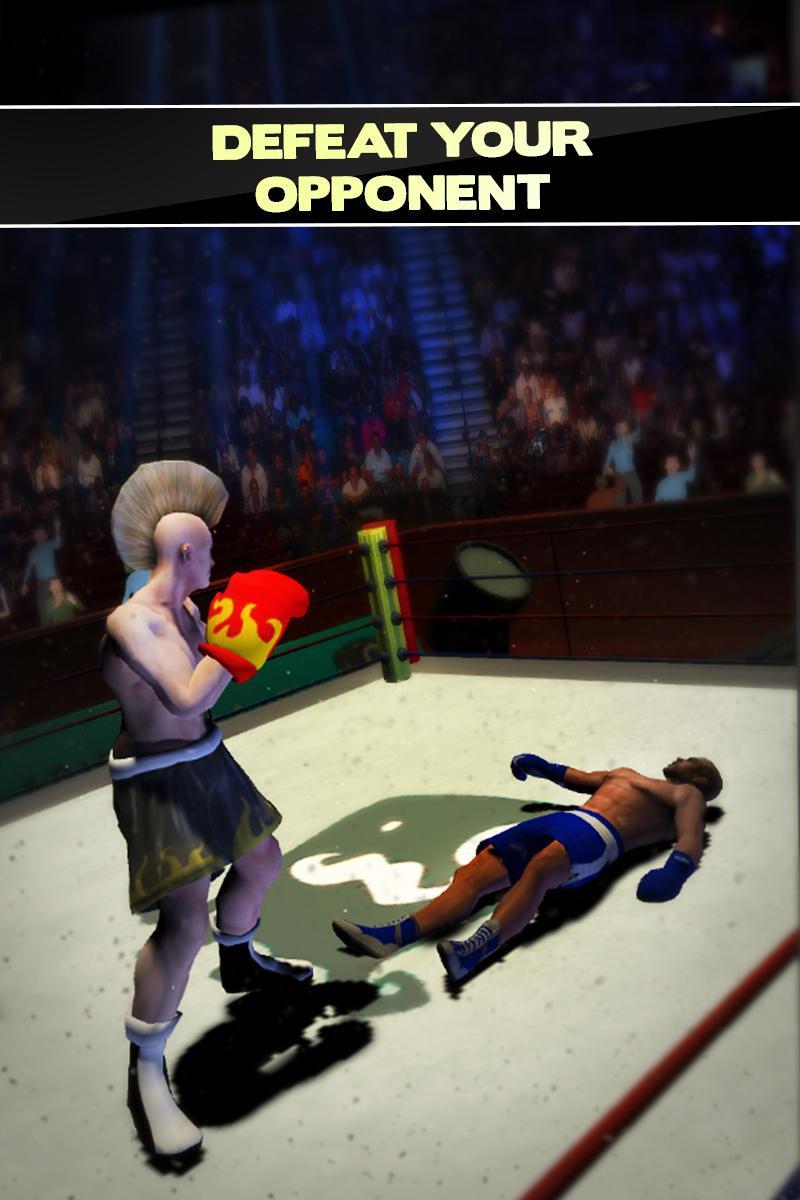 Boxer Games 2017