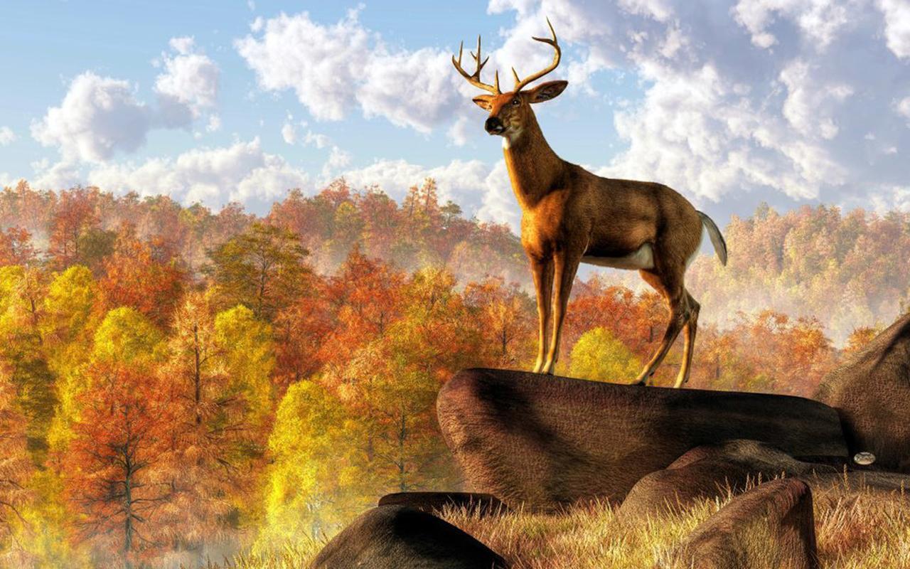 Deer Hunting - 2016 Sniper 3D