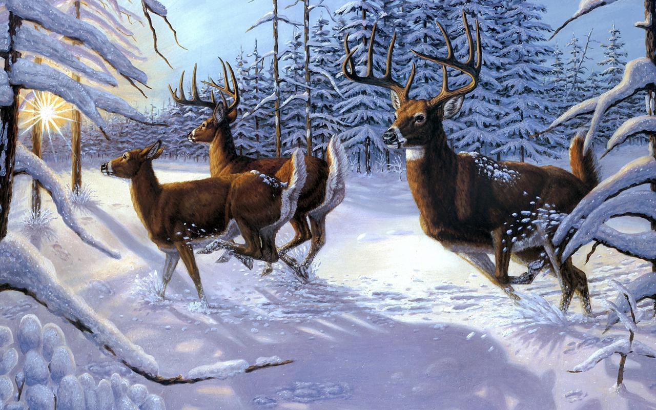 Deer Hunting - 2016 Sniper 3D