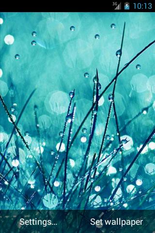 Rain and Dew LWP