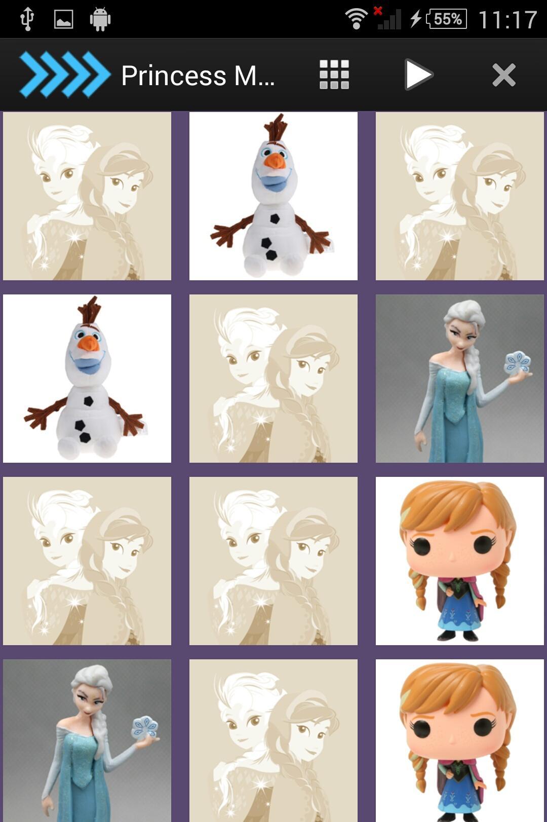 Princess Memory
