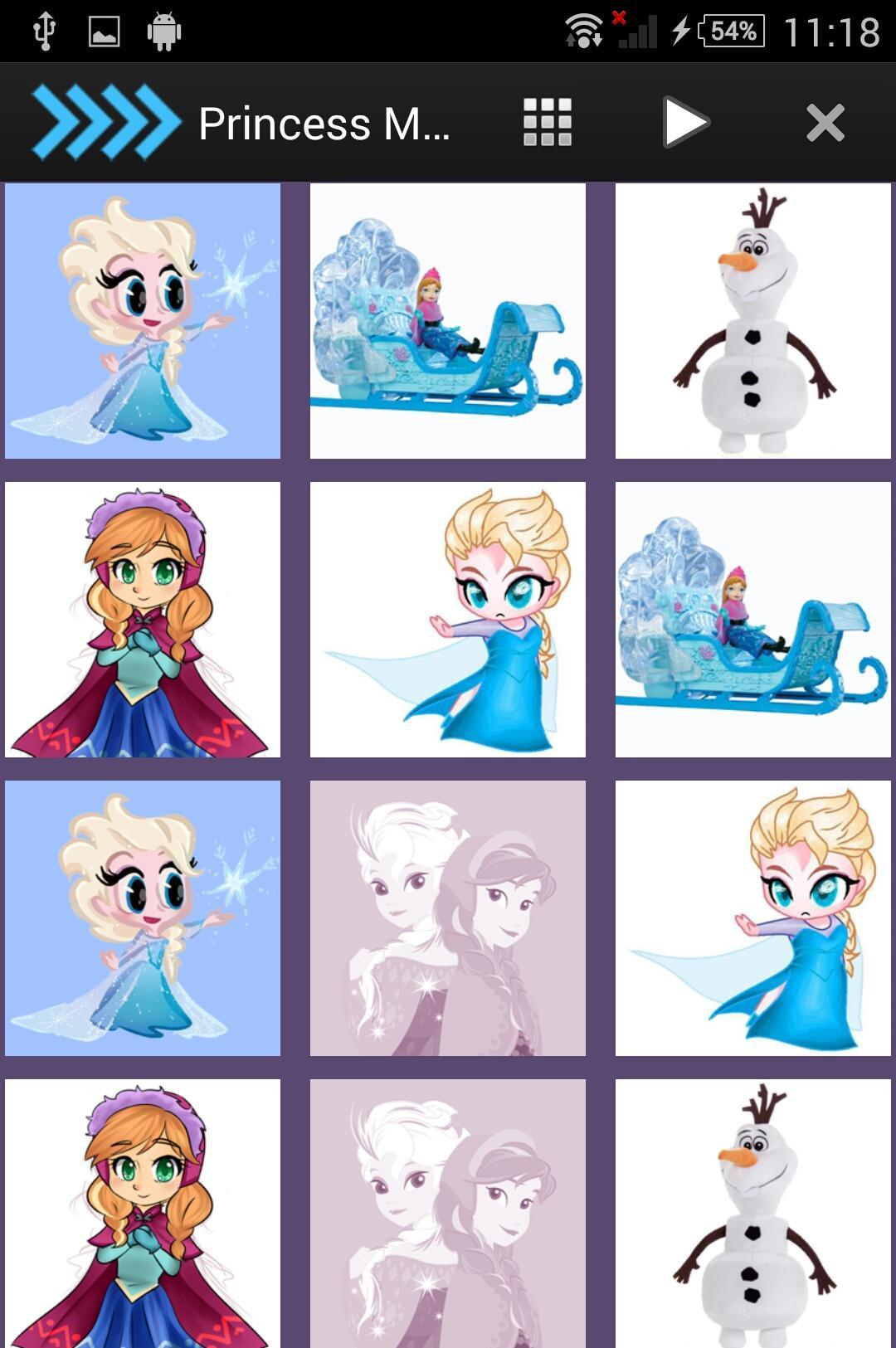 Princess Memory