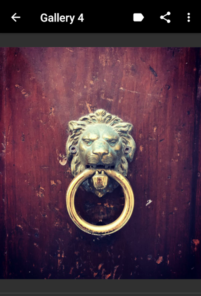 Door Knob Ideas