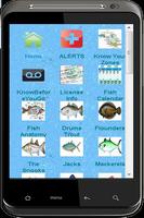 Saltwater Fishing LITE