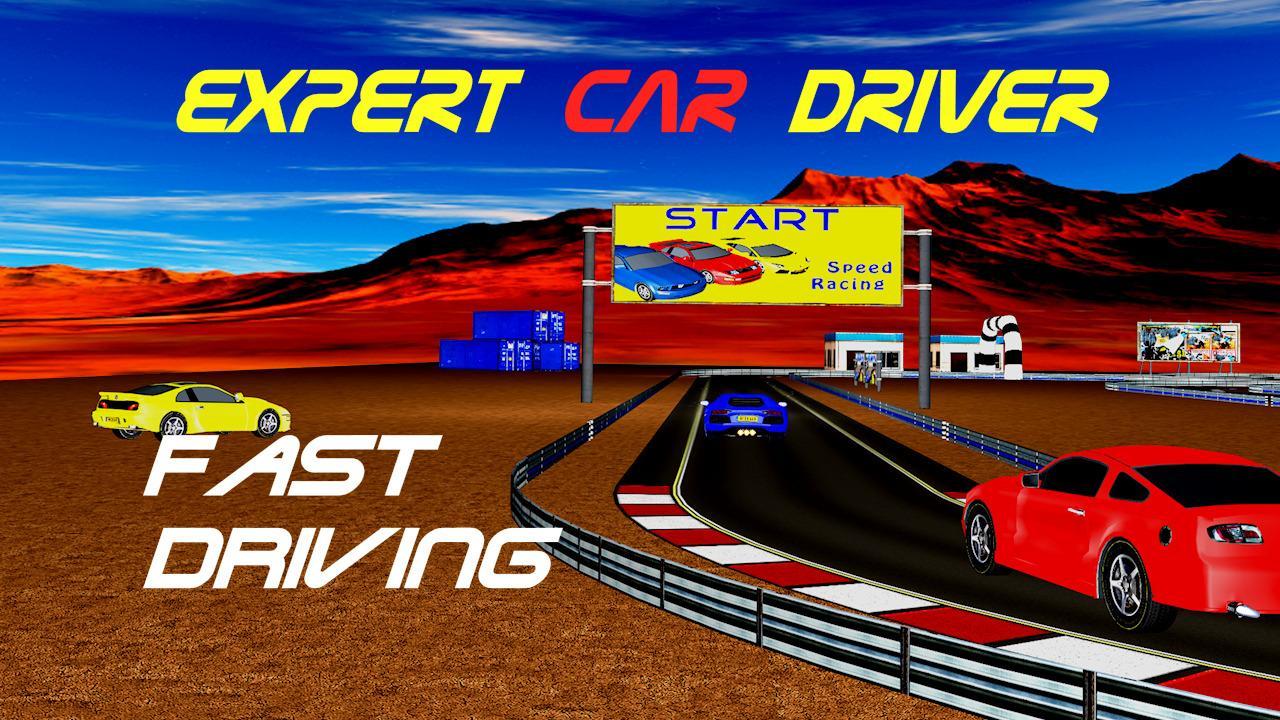 Expert car driver